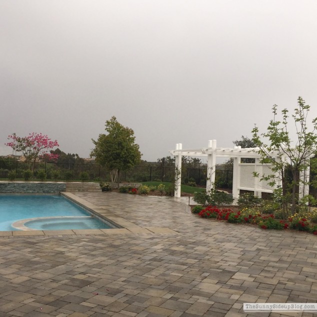 recent happenings_0158