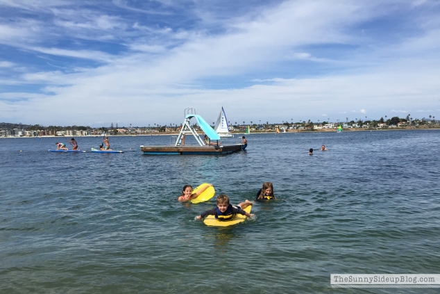 paddle board
