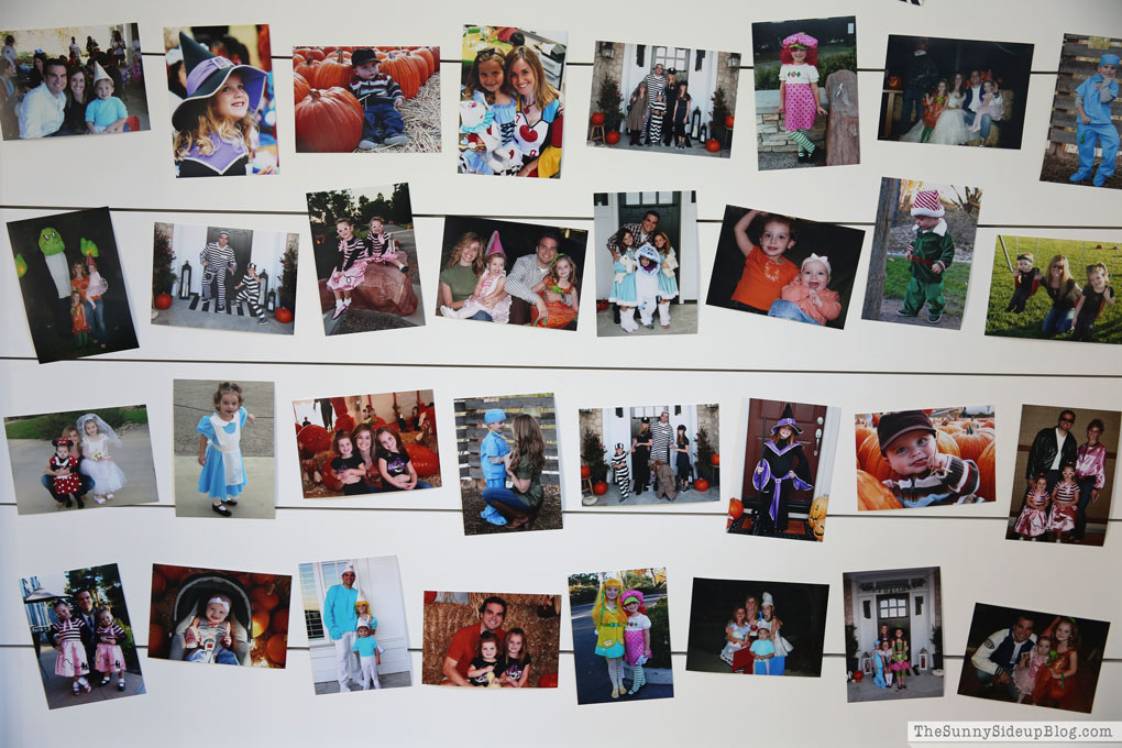 Trick or Treat Shiplap Halloween Picture Display (Sunny Lifestyles) 