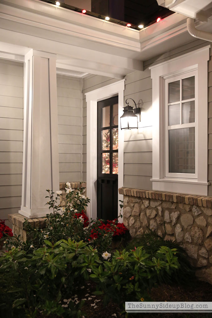 Night Lights (Sunny Lifestyles)