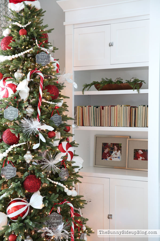 Christmas Home Tour! (Sunny Lifestyles)
