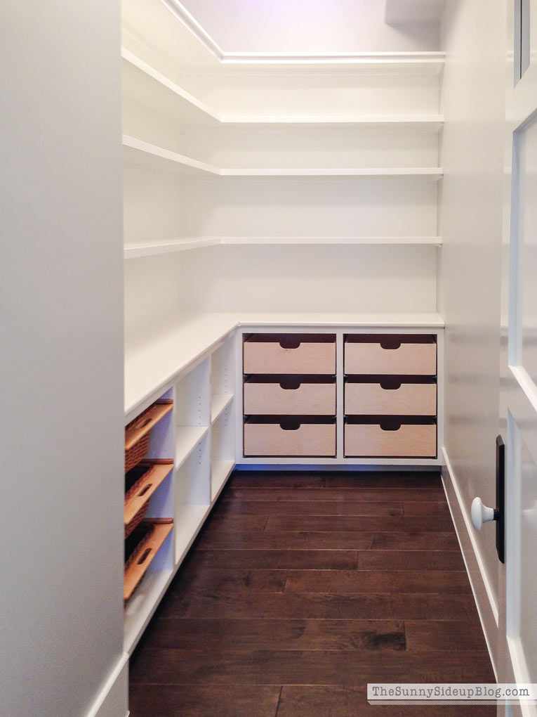Organized Pantry (Sunny Lifestyles)