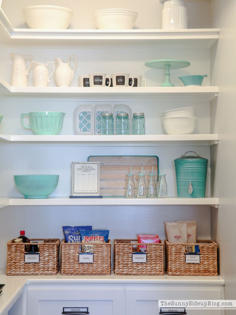 Organized Pantry (Sunny Lifestyles)