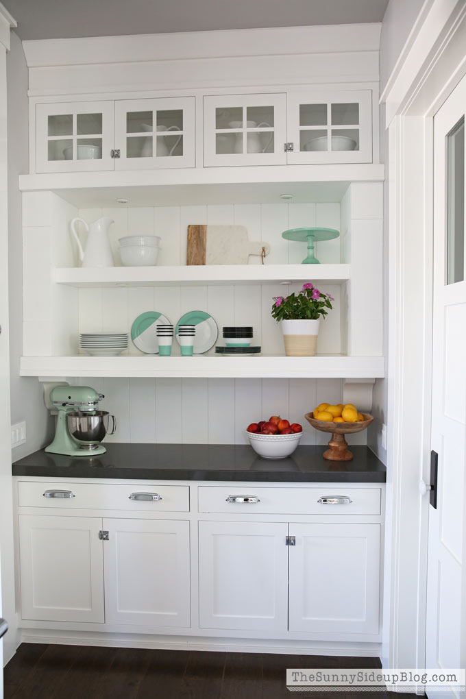 Organized Pantry (Sunny Lifestyles)