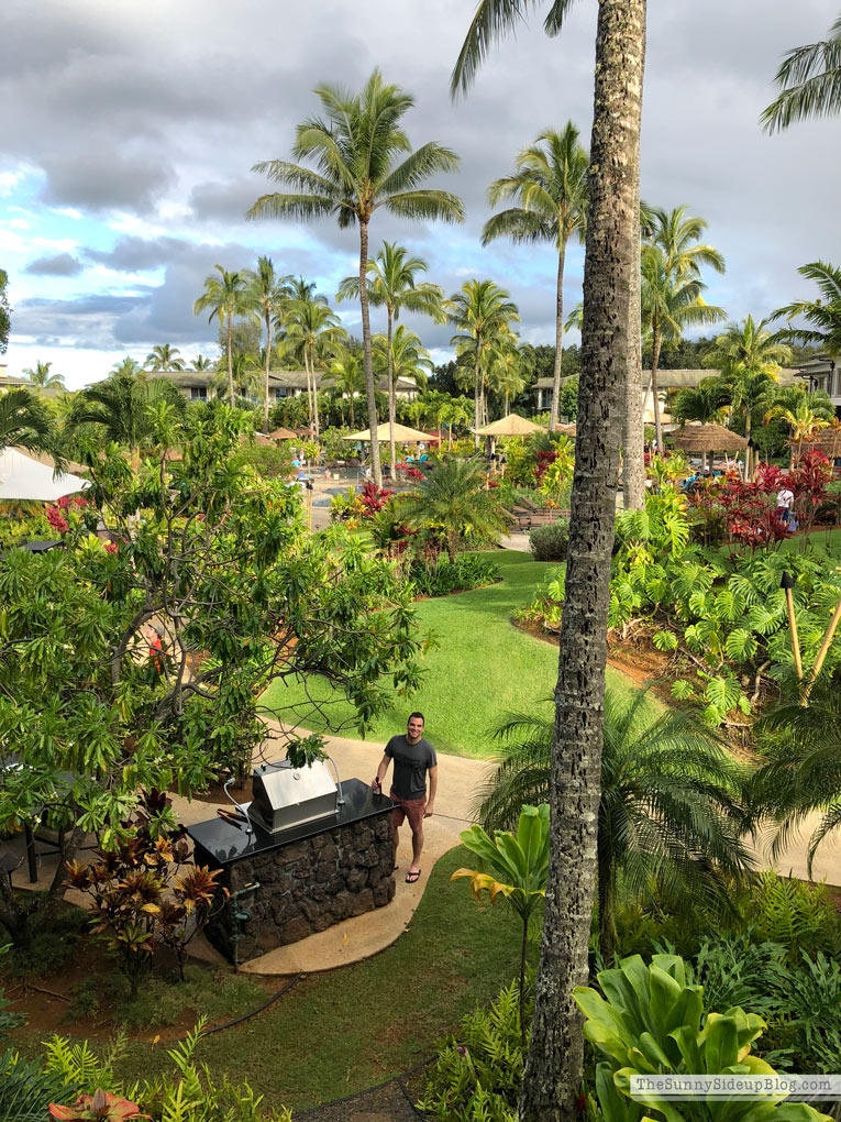 Kauai (Sunny Lifestyles)