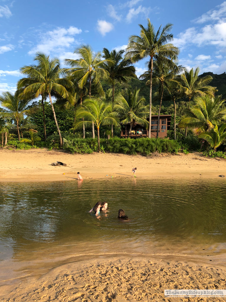Kauai (Sunny Lifestyles)