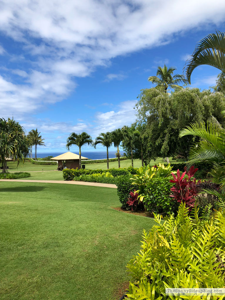 Kauai (Sunny Lifestyles)
