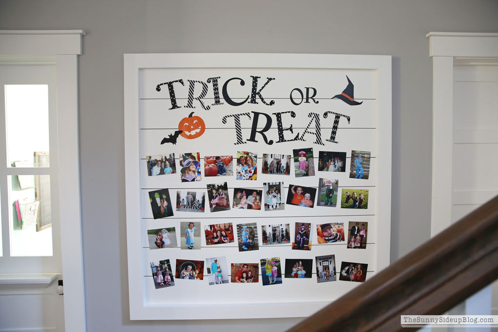 Shiplap Display Wall (Sunny Lifestyles)