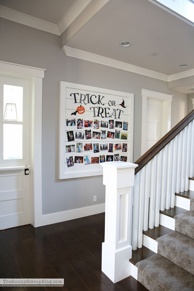 Shiplap Display Wall (Sunny Lifestyles)