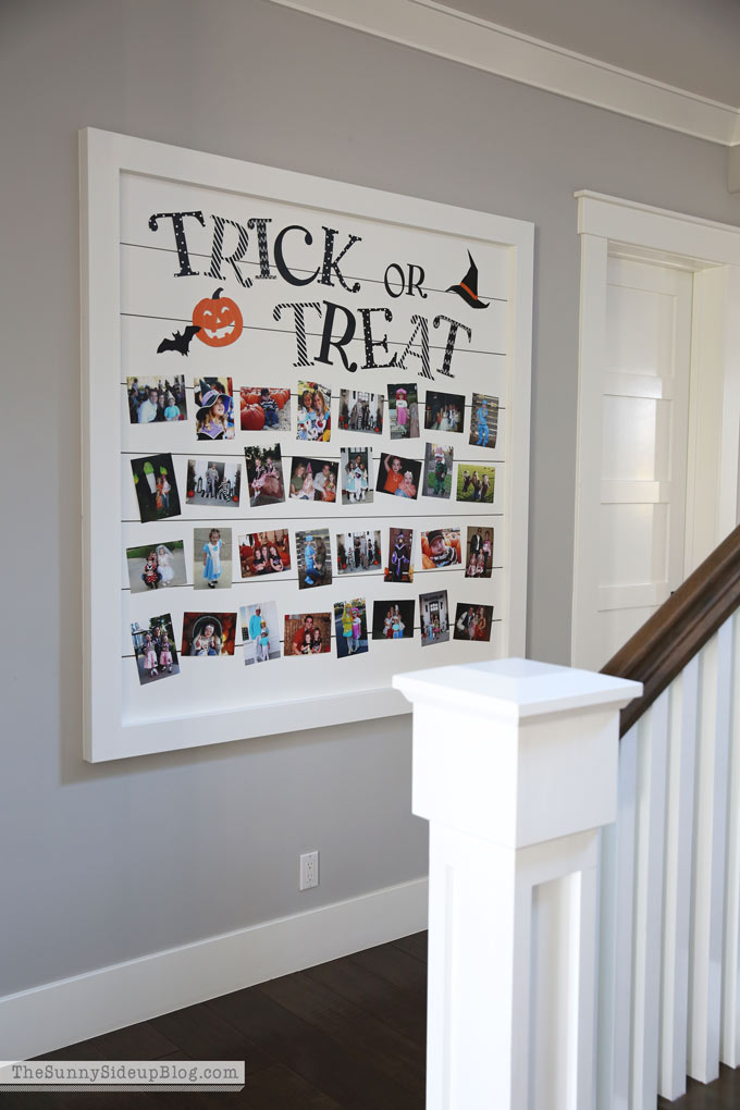 Shiplap Display Wall (Sunny Lifestyles)