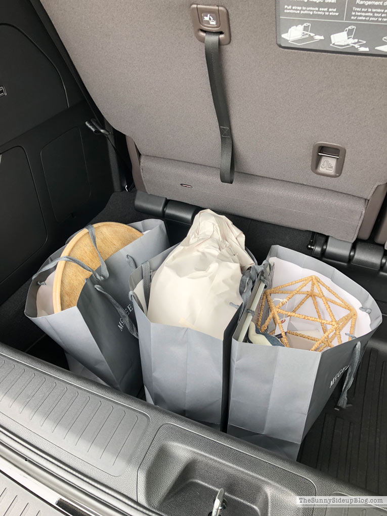 McGee and Co Shopping Trip! (Sunny Lifestyles)