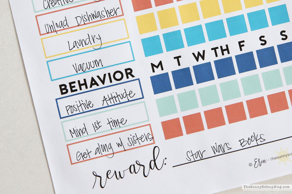 Daily Expectations - a free printable to keep your kids on task! (Sunny Lifestyles)