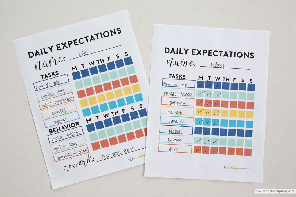 Daily Expectations - a free printable to keep your kids on task! (Sunny Lifestyles)