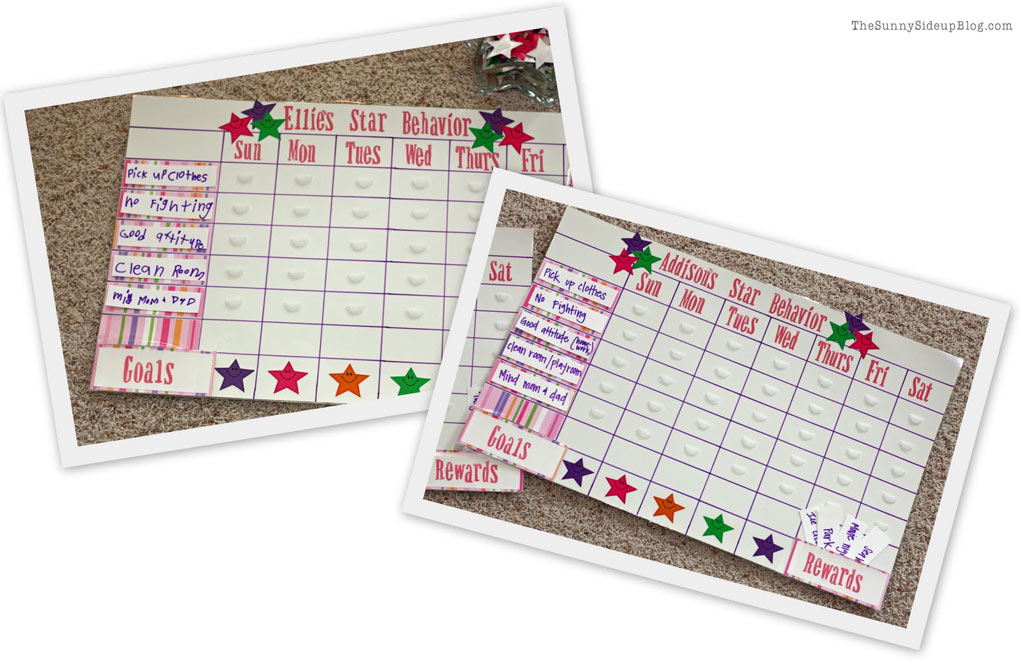 Daily Expectations - a free printable to keep your kids on task! (Sunny Lifestyles)