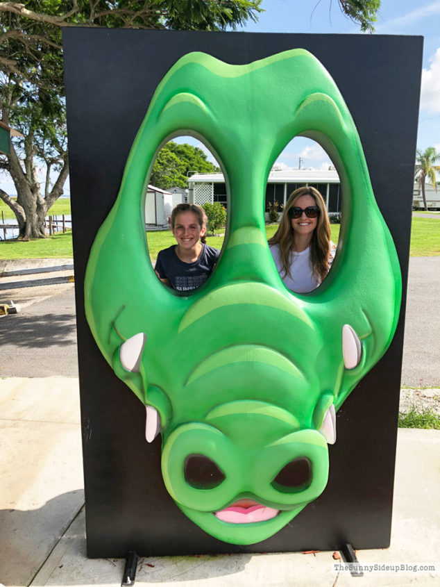 Alligator hunting (Sunny Lifestyles)