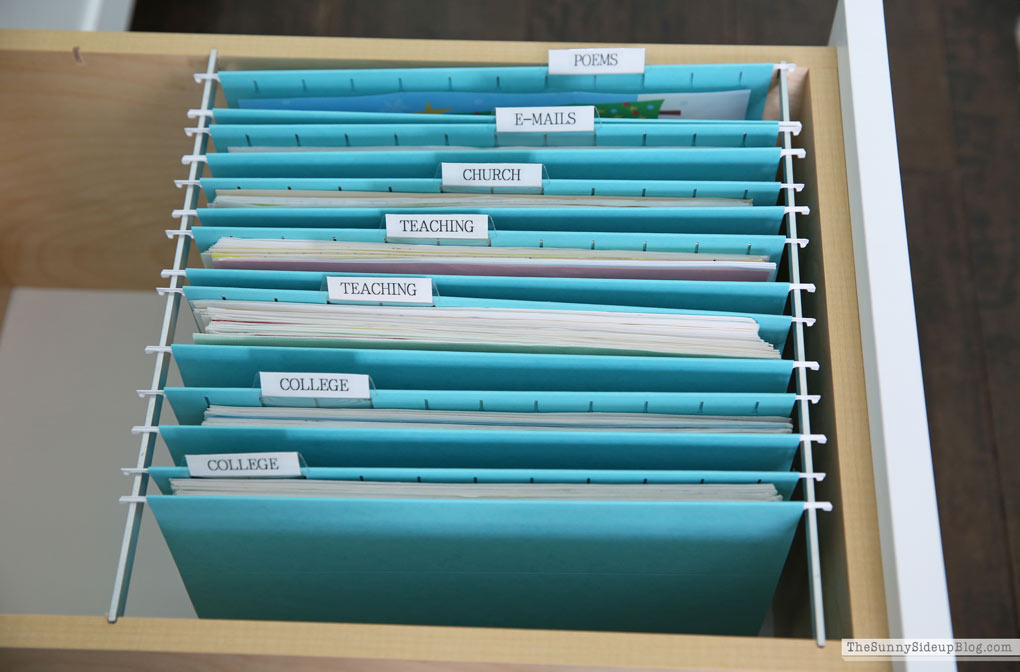 Organized Paper Files (Sunny Lifestyles)