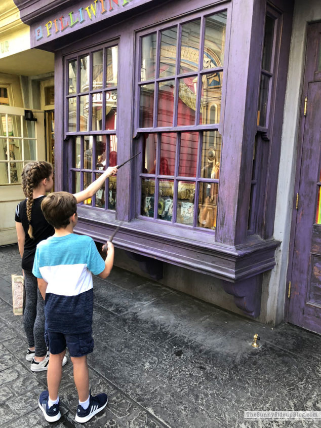 Universal Studios (Sunny Lifestyles)