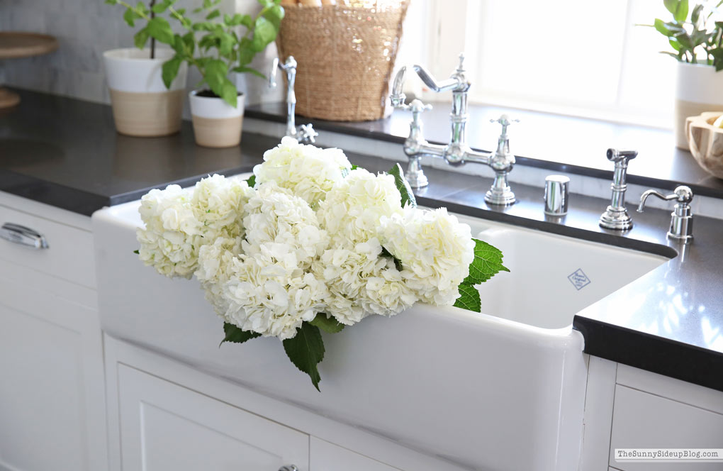 Summer Kitchen Decor (Sunny Lifestyles)