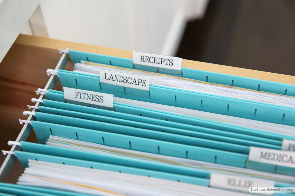 Organized Paper Files (Sunny Lifestyles)