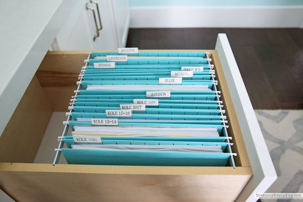 Organized Paper Files (Sunny Lifestyles)