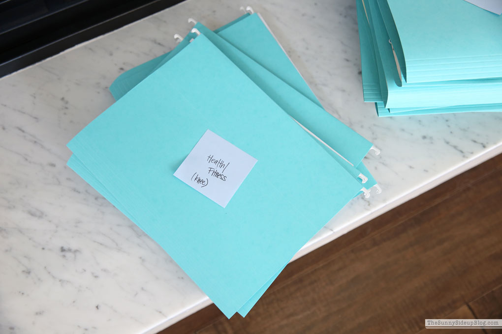 Organized Paper Files (Sunny Lifestyles)