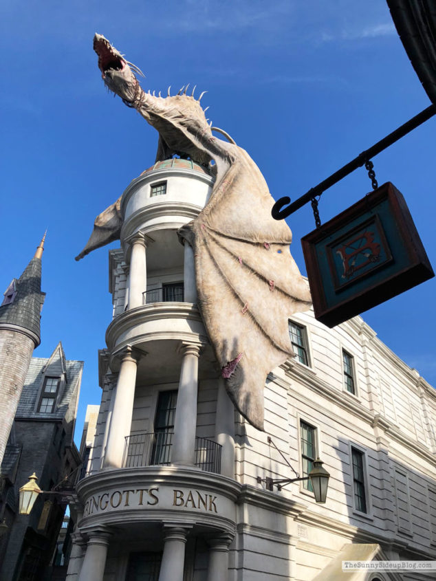 Universal Studios (Sunny Lifestyles)