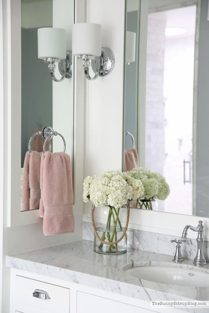 Bathroom Decor (Sunny Lifestyles)