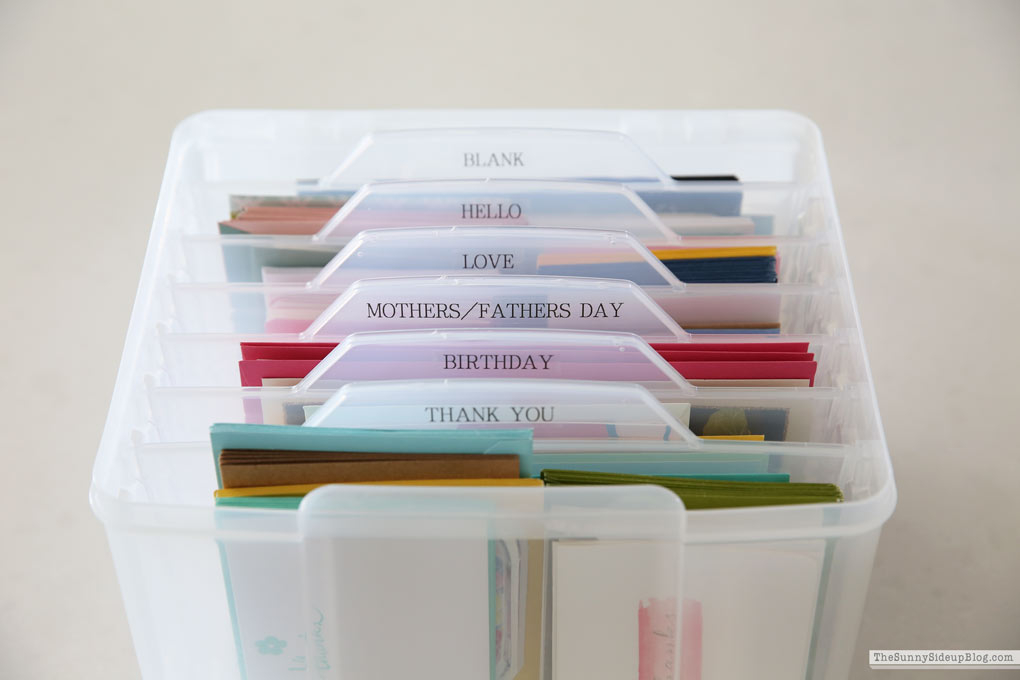 Organized Greeting Cards (Sunny Lifestyles)