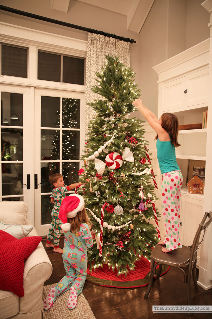 HOLIDAY PLANNER! Includes everything you need to organize your holidays! (Sunny Lifestyles)