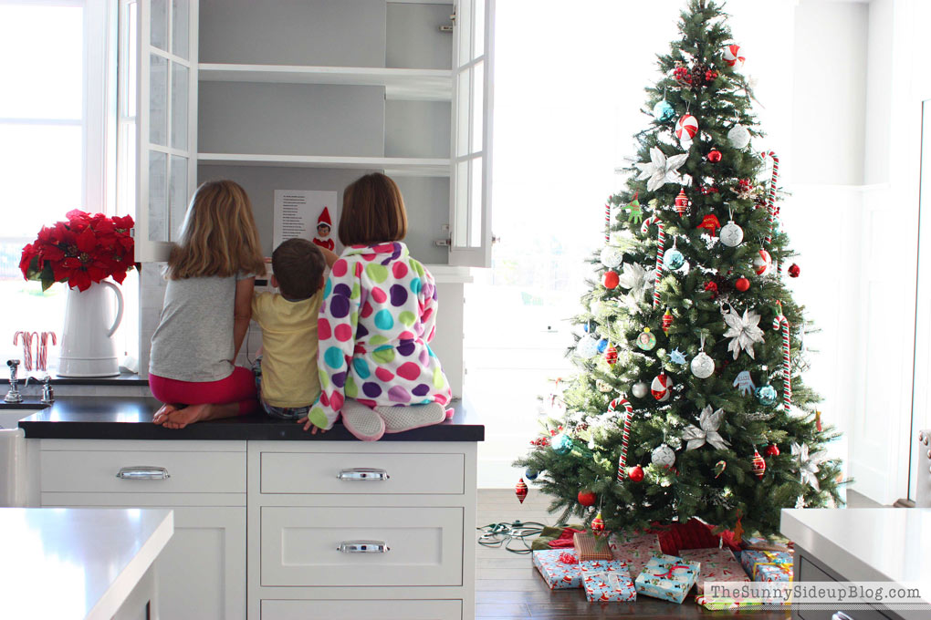 HOLIDAY PLANNER! Includes everything you need to organize your holidays! (Sunny Lifestyles)
