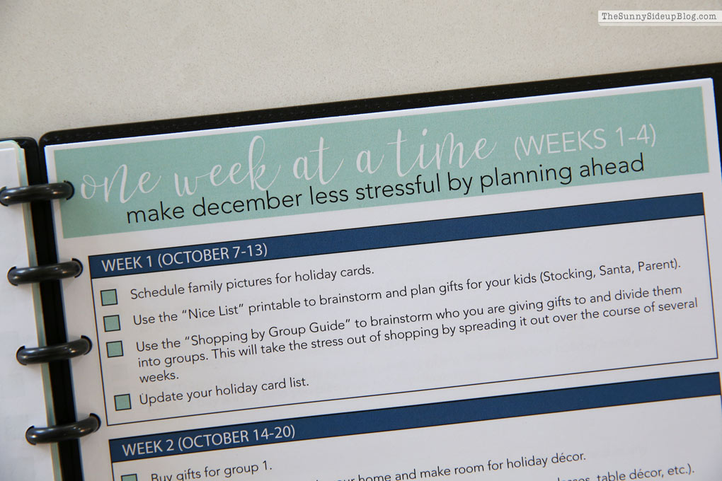 How I plan and use my holiday planner (Sunny Lifestyles)