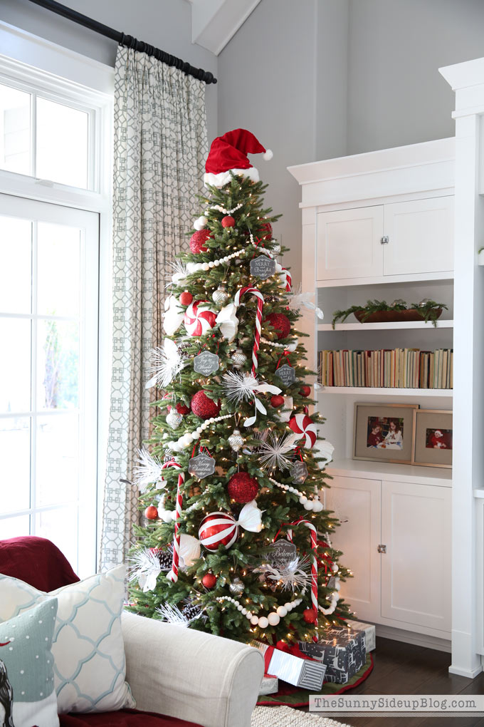Christmas Tree Sources (Sunny Lifestyles)