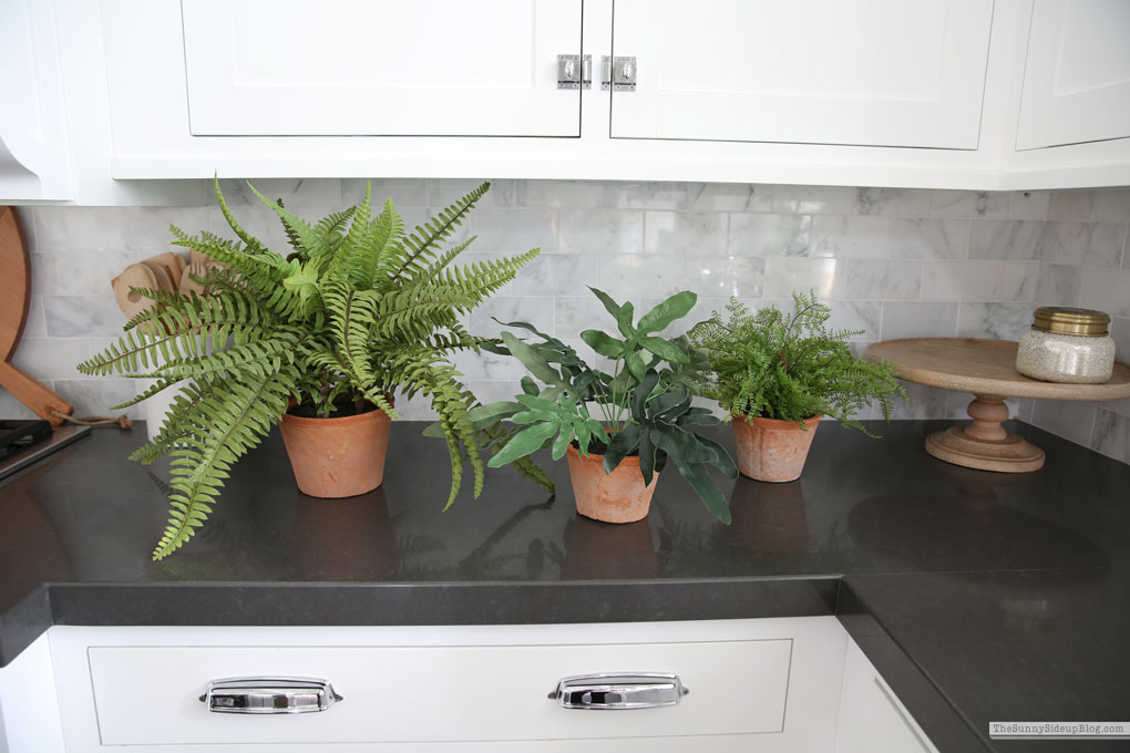 January Favorite Things (Sunny Lifestyles)