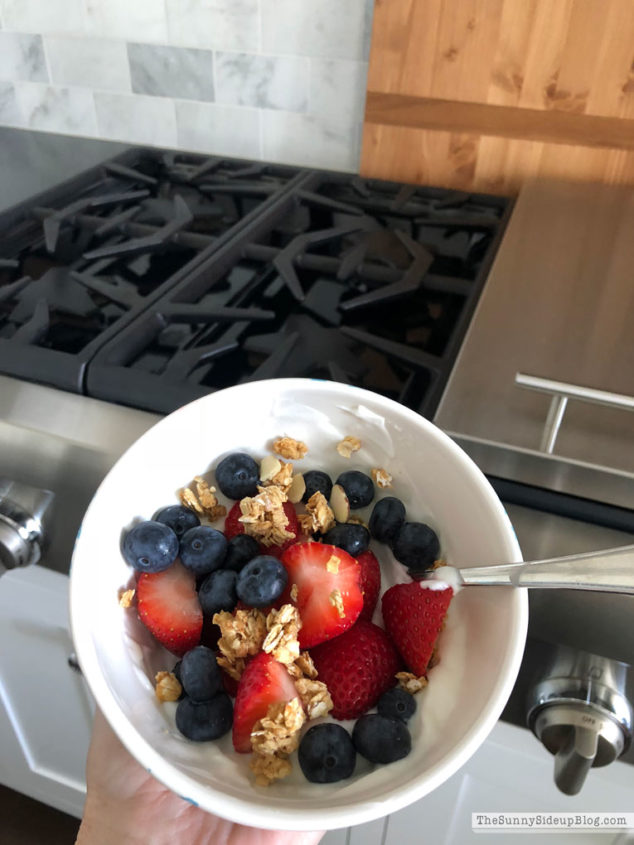 5 Healthy Snack Ideas (Sunny Lifestyles)