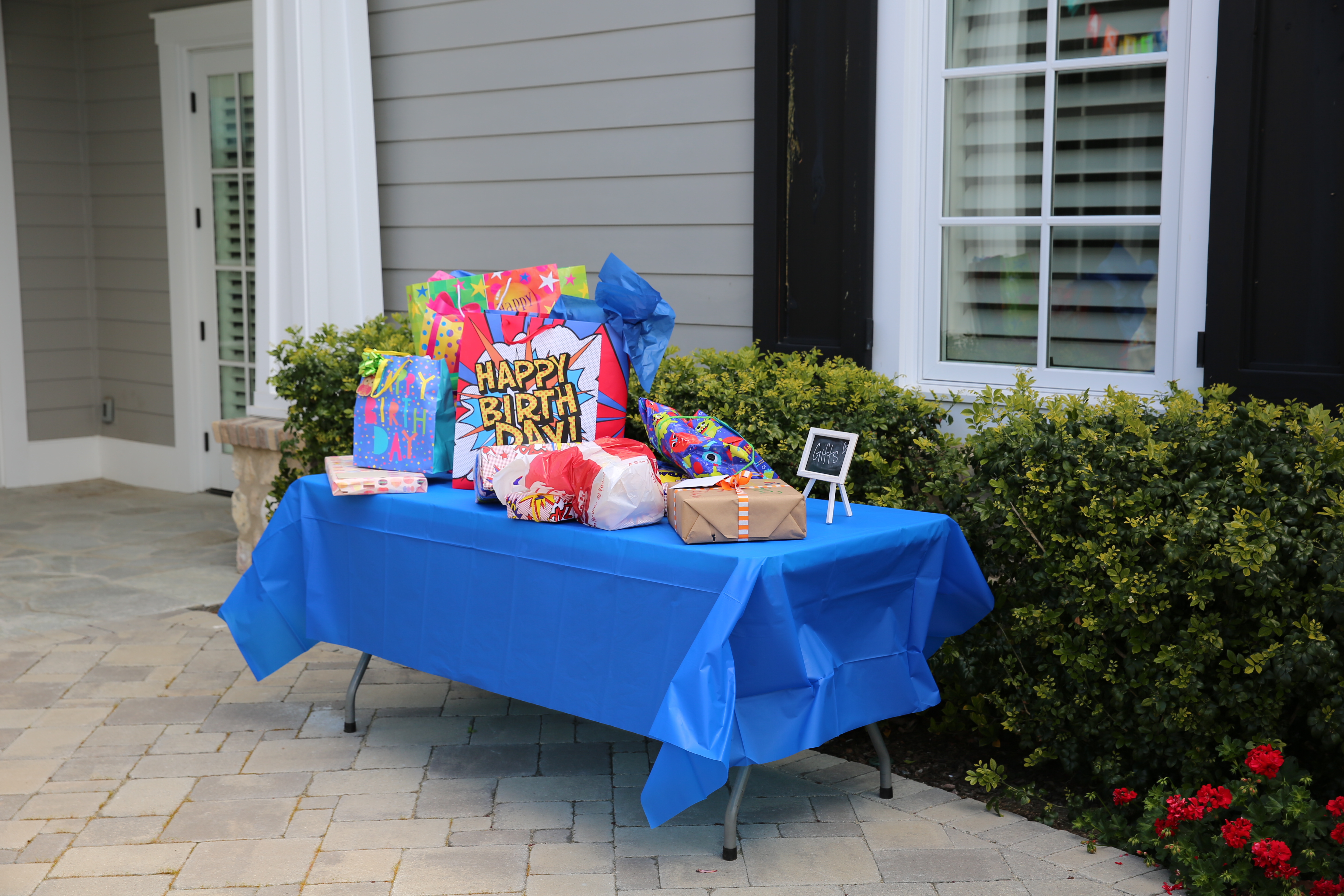 Boys Colorful Birthday Party (Sunny Lifestyles)