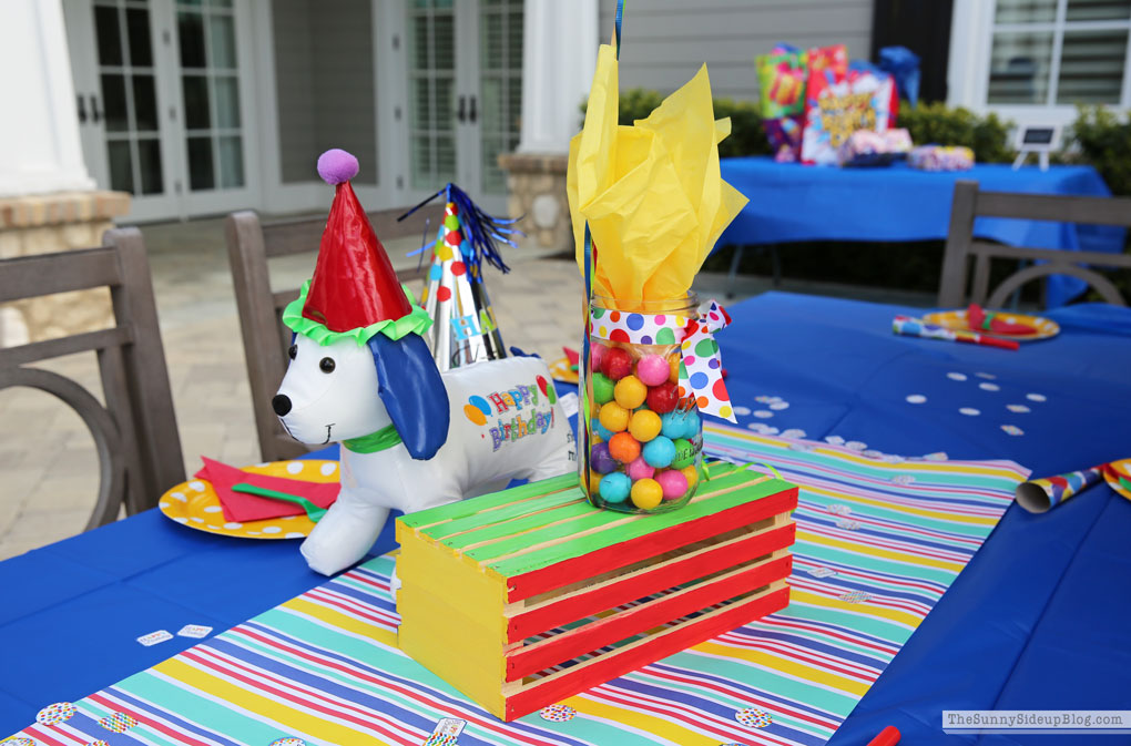 Boys Colorful Birthday Party (Sunny Lifestyles)