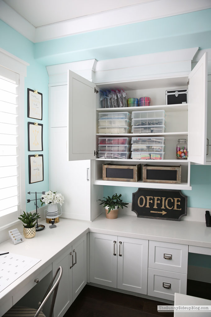 My Organized Office (Sunny Lifestyles)