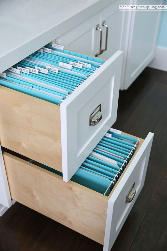 My Organized Office (Sunny Lifestyles)