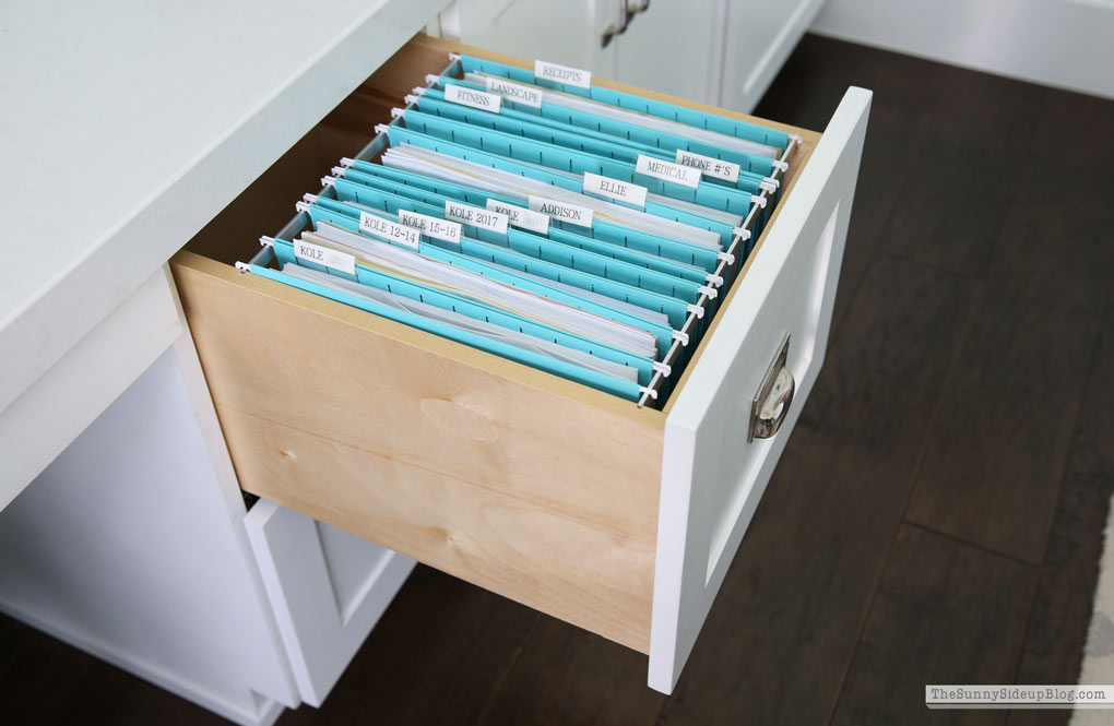 My Organized Office (Sunny Lifestyles)