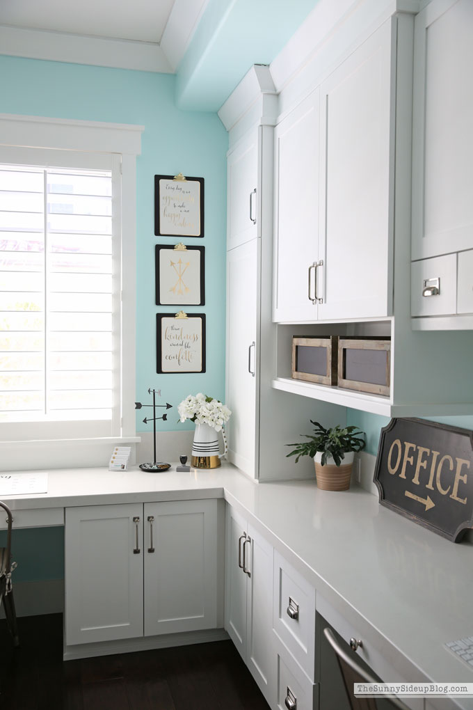 My Organized Office (Sunny Lifestyles)