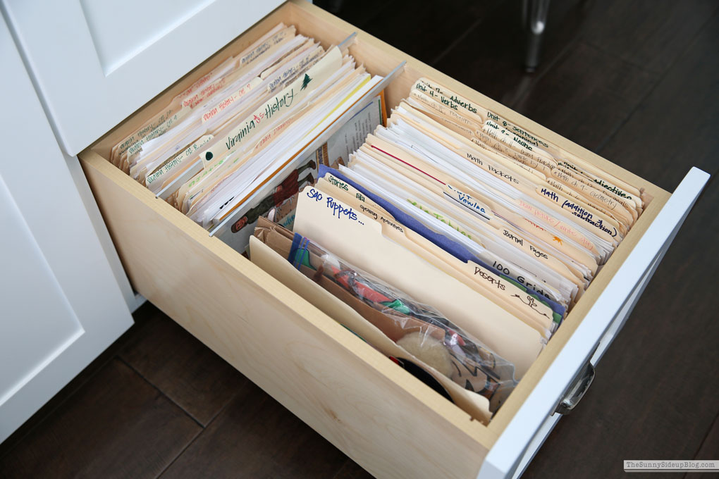 My Organized Office (Sunny Lifestyles)