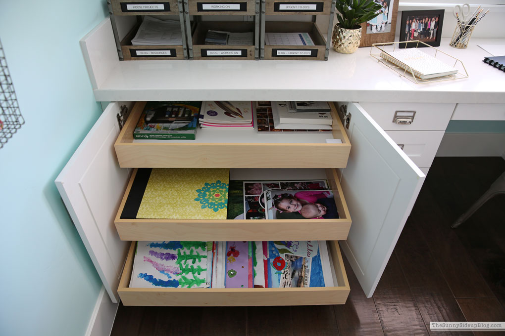 My Organized Office (Sunny Lifestyles)