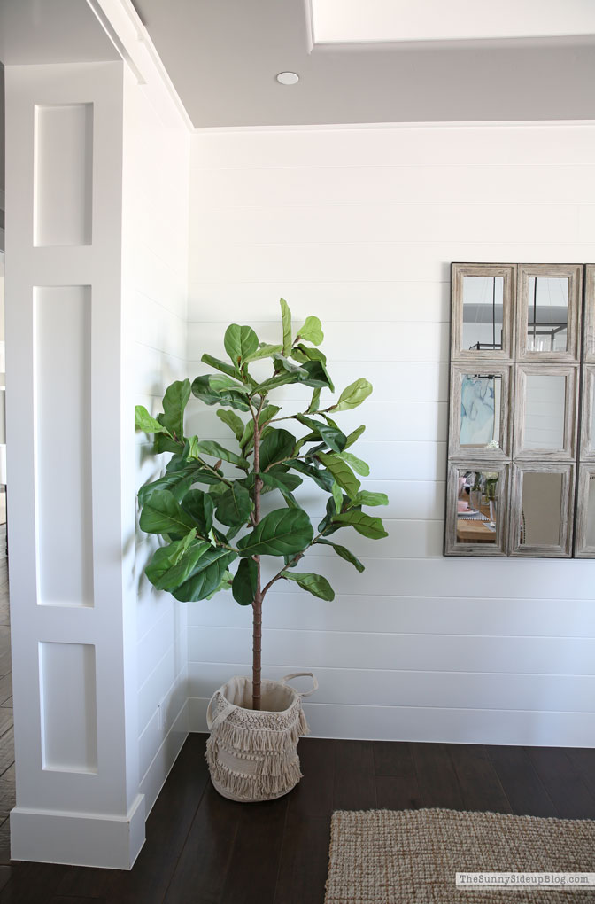 Spring Cleaning Favorites (Sunny Lifestyles)