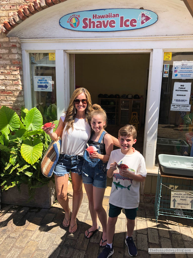 4th of July Outdoor Decor (Sunny Lifestyles)