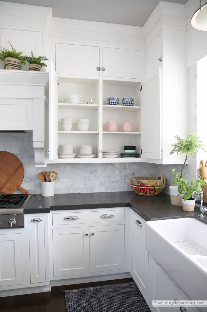 Organized Kitchen Cupboards (Sunny Lifestyles)