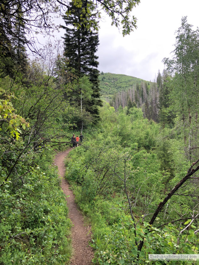 Vacation in Steamboat Springs (Sunny Lifestyles)