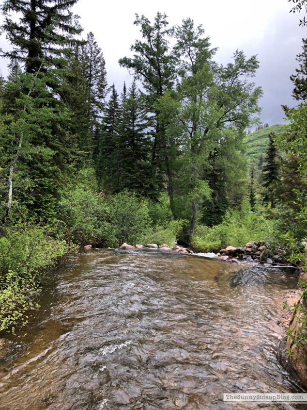 Vacation in Steamboat Springs (Sunny Lifestyles)