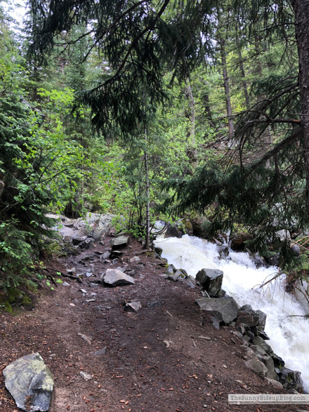 Vacation in Steamboat Springs (Sunny Lifestyles)