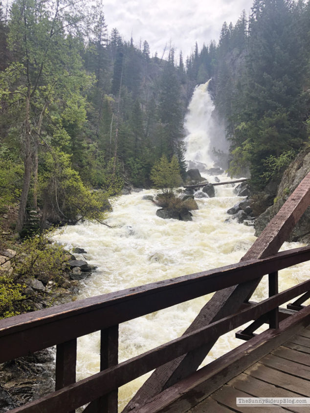 Vacation in Steamboat Springs (Sunny Lifestyles)