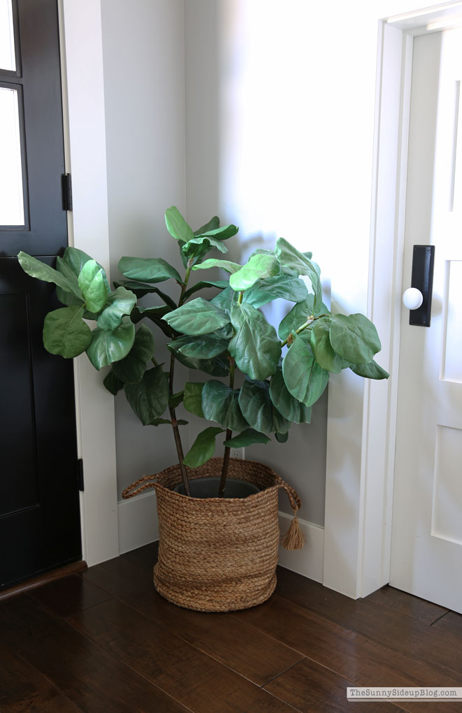 Mudroom Summer Refresh (Sunny Lifestyles)
